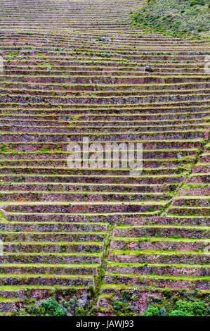 Die Inka konstruiert landwirtschaftliche Terrassen an den steilen Hang. Stockfoto