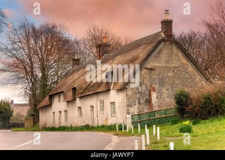 Reihe von weiß getünchten, terrassenförmig angelegten Bungalows mit Strohdächern, Dorset, England. Stockfoto