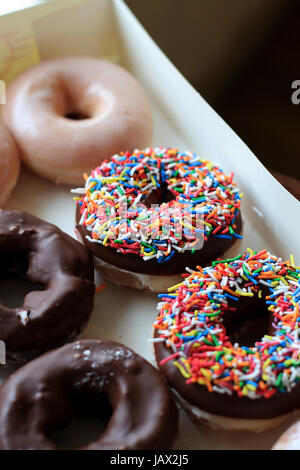 Bunte Streusel über Schokoladen Donuts aus Krispy Kreme Stockfoto