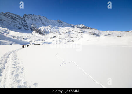 Gruppe von Alpinisten Wanderung bergauf mit dem Skitouren im Pulverschnee in hohen Berg-Panorama Stockfoto