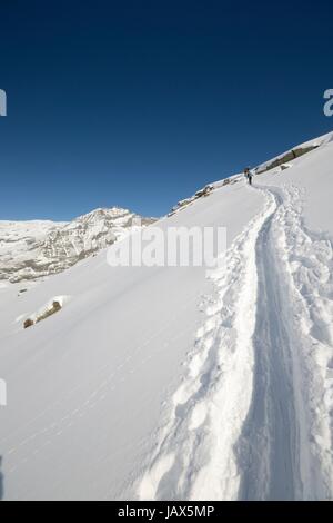 Gruppe von Alpinisten Wanderung bergauf mit dem Skitouren im Pulverschnee in hohen Berg-Panorama Stockfoto