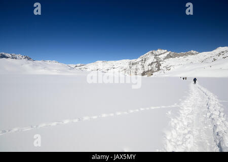 Gruppe von Alpinisten Wanderung bergauf mit dem Skitouren im Pulverschnee in hohen Berg-Panorama Stockfoto