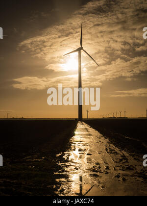 Windkraftanlage als die Sonne steigt über das flache Land in der Provinz Flevoland, Niederlande Stockfoto