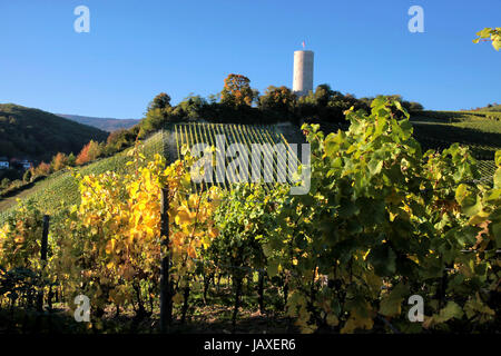 Burg Scharfenstein (1160 Bis 1260) Bei Kiedrich, Rheingau, Hessen, Deutschland Stockfoto