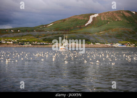 Boot vom Hafen Husavik Wal arbeiten Tour beenden Stockfoto