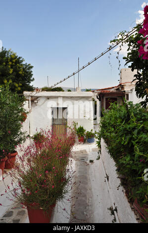 Schmalen Fußweg mit Pflanzen und kleinen Häusern im traditionellen Anafiotika Stadtteil, Dorf-Stil-Architektur in der Stadt. Plaka, Athen. Stockfoto