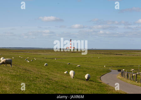 Westerhever Leuchtturm (Deutschland) aufgenommen bei Tageslicht mit einige Schafe auf dem Deich. Stockfoto