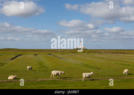 Westerhever Leuchtturm (Deutschland) aufgenommen bei Tageslicht mit einige Schafe auf dem Deich. Stockfoto