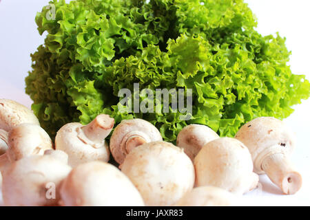 schöne Agaric und bereit für das Kochen der Kopfsalat Stockfoto