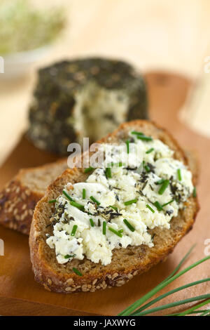 Scheibe Vollkornbrot zu verbreiten, mit Ziegenkäse mit Kräutern mit Schnittlauch obendrauf (selektiven Fokus, Fokus, ein Drittel in den Käse) Stockfoto