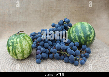 Stillleben aus Früchten von zwei Wassermelonen und blauen Trauben auf den grauen Hintergrund Stockfoto
