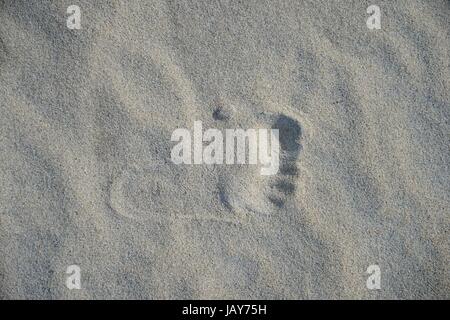 Eine konzeptionelle Strand Bild mit sortierten Strandzubehör Stockfoto
