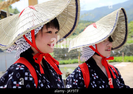 Junge Japanerinnen Pflanzen in einem Reisfeld Stockfoto