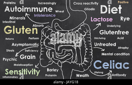 Darm und Worte der Zöliakie Zustand skizzierte auf einem Blacboard Stockfoto