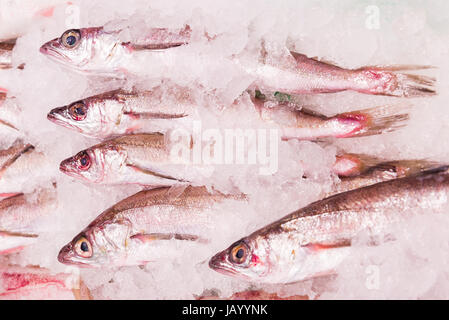 Frischer Wittling auf Markt. Roher Fisch Stockfoto