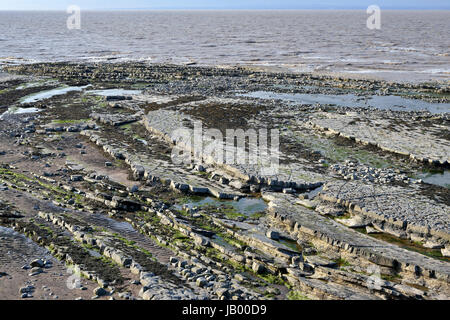 Osten Quantoxhead Strand bei Ebbe, Kilve, Somerset Westküste Stockfoto