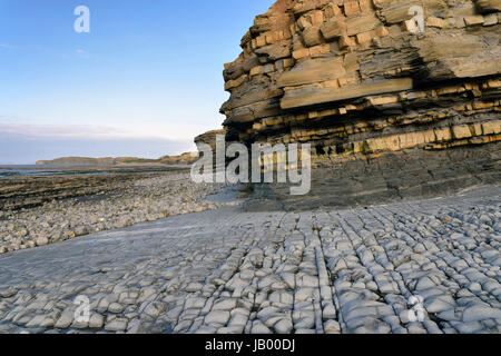 Blaue Lias Strand und Schiefer, Mergel & Kalksteinfelsen, Oststrand Quantoxhead, Somerset, England Stockfoto