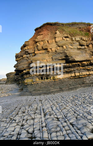 Blaue Lias Strand und Schiefer, Mergel & Kalksteinfelsen, Oststrand Quantoxhead, Somerset, England Stockfoto