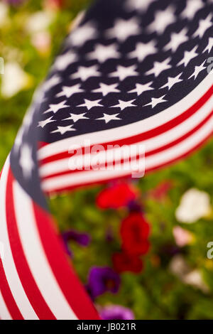 Amerikanische Flagge in einem Garten Stockfoto