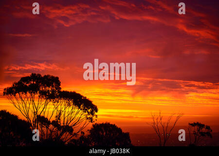 Dramatischen Sonnenuntergang über Gumtrees gesehen von Windy Point, South Australia Stockfoto