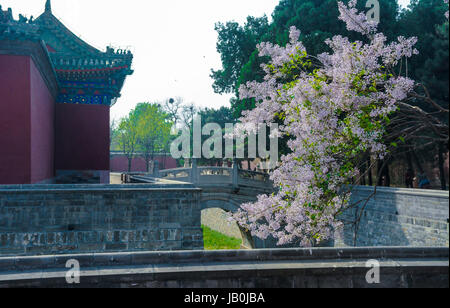 9. Juni 2017 - Beijin, liegt im Nordwesten des kreisrunden Hügel Altars und neben dem Westtor des Parks von der Temple of Heaven Beijin, China - Palast der Abstinenz. Es war ein Ort für den Kaiser aus der Nahrung zu enthalten, bevor die verehren Himmel Zeremonie begann. Es verfügt über mehrere markante Gebäude, wie der Beamless-Halle, der Rest-Palast und den Glockenturm. (Kredit-Bild: © SIPA Asien über ZUMA Draht) Stockfoto