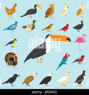 große Reihe von tropischen, in- und andere Vögel, Kardinal, Flamingo, Eulen, Adler, Glatze, Meer, Papagei, Gans. Raven. Spatz. Huhn. Turkei. Kakadu. Taube. Riesentukan. Hornbill. Griffon. Ente. Stock Vektor