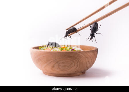 die zukünftigen Käfer Essen mit hölzernen Stäbchen Stockfoto