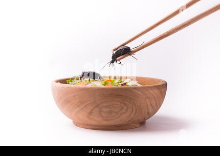 die zukünftigen Käfer Essen mit hölzernen Stäbchen Stockfoto