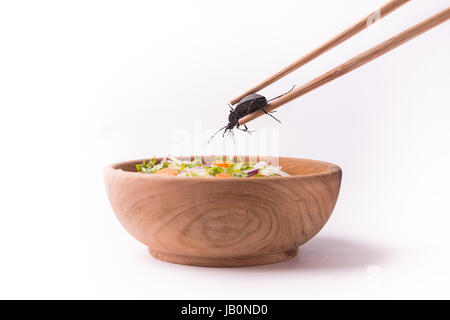 die zukünftigen Käfer Essen mit hölzernen Stäbchen Stockfoto