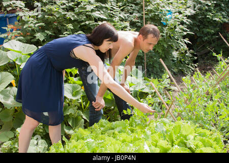 junge inländischen paar in einem Garten durch einen canicular Sonnentag Stockfoto