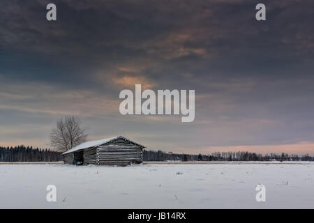 Ein alten verlassenen Scheunenhaus auf den verschneiten Norden Finnlands steht einsam unter den dramatischen Winter-Himmel. Stockfoto