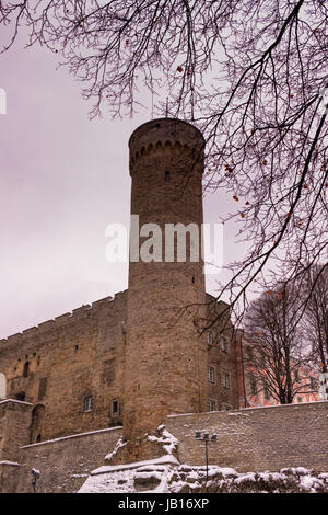 Pikk Hermann oder Tall Hermann ist ein Turm aus der Burg auf dem Domberg, am Domberg in Tallinn, der Hauptstadt von Estland. Der erste Teil wurde 1360-70 gebaut. Ich Stockfoto