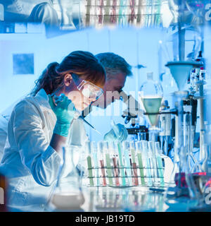 Gesundheitswesen Forscher arbeiten im Life-Science-Labor. Junge weibliche Forschung Wissenschaftler und Senior männlichen Vorgesetzten Vorbereitung und Analyse von microsc Stockfoto