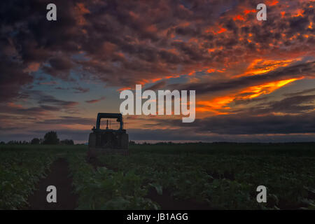 Der Bauer hat seinen Traktor zu warten, bis ein weiterer Tag in den Kartoffelfeldern verlassen. Die Sommersonne setzt drastisch hinter dem alten Landwirtschaft-Tool an die Nort Stockfoto