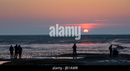 Menschen den Sonnenuntergang betrachten, Wattwanderungen, senken sächsischen Nationalpark Wattenmeer, Cuxhaven, North Sea, Niedersachsen, Deutschland Stockfoto