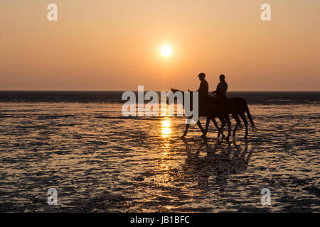 Fahrer bei Sonnenuntergang im Wattenmeer, Lower Saxon Nationalpark Wattenmeer, Cuxhaven, Niedersachsen, Deutschland Stockfoto