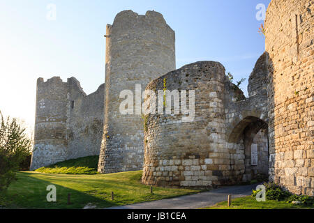 Loiret (45), Yèvre-la-Ville, Ancienne Commune de Yèvre-le-Châtel, Classée Dans Les Plus Beau Dorf de France, Frankreich, la Poterne d'Entrée du Château Stockfoto