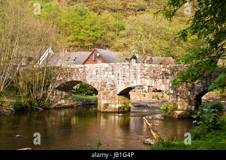 Fingle Bridge über den Fluß Teign in der Nähe von Drewsteignton Dartmoor Devon UK Stockfoto