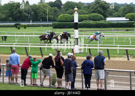 Ein Tag an der Belmont Park Rennbahn Rennen - Elmont New York - eine kurze Reihe von Bilder zeigen ehrliche racing Bilder. Stockfoto