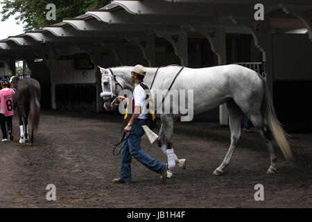 Ein Tag an der Belmont Park Rennbahn Rennen - Elmont New York - eine kurze Reihe von Bilder zeigen ehrliche racing Bilder. Stockfoto