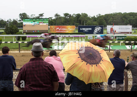 Ein Tag an der Belmont Park Rennbahn Rennen - Elmont New York - eine kurze Reihe von Bilder zeigen ehrliche racing Bilder. Stockfoto