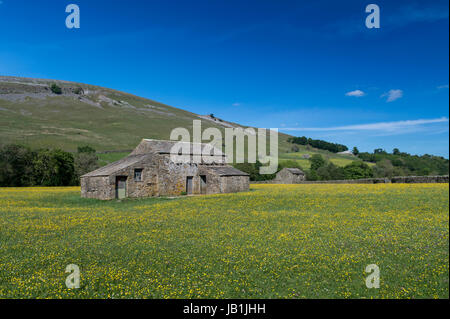 Wildblumenwiesen in Blüte, Muker unten, Swaledale, Yorkshire Dales National Park, UK. Stockfoto
