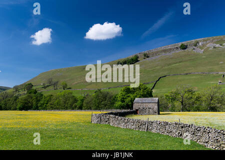 Wildblumenwiesen in Blüte, Muker unten, Swaledale, Yorkshire Dales National Park, UK. Stockfoto