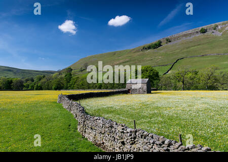 Wildblumenwiesen in Blüte, Muker unten, Swaledale, Yorkshire Dales National Park, UK. Stockfoto