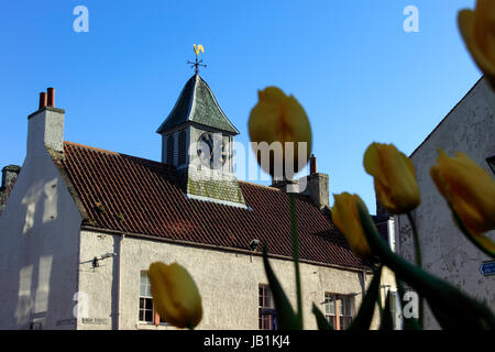 Gebäude mit Clock Tower, North Berwick, Schottland, Großbritannien Stockfoto