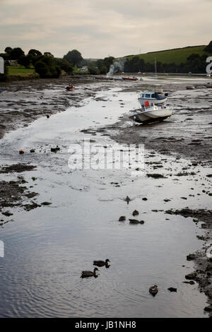 Ebbe am Frogmore, South Devon Stockfoto