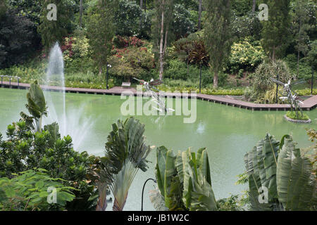 Libelle-Teich in Gardens by the Bay-Singapur Stockfoto