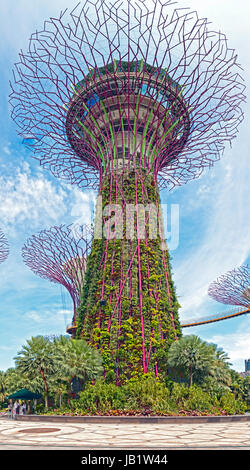 Super Baum aus Stahl in den Gärten von der Bay-Singapore Stockfoto