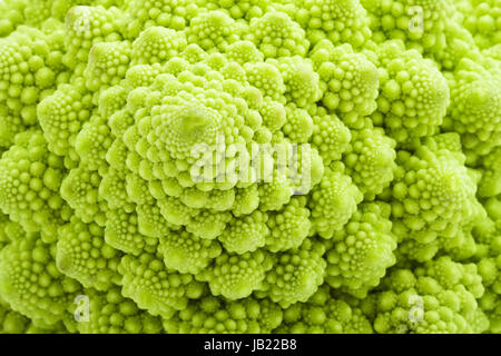 Grüne Romanesco Brokkoli isoliert auf weißem Hintergrund Stockfoto