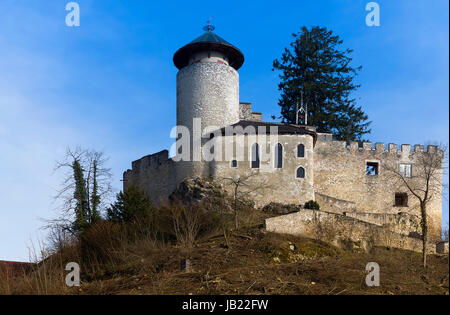 Ruine Dorneck Stockfoto